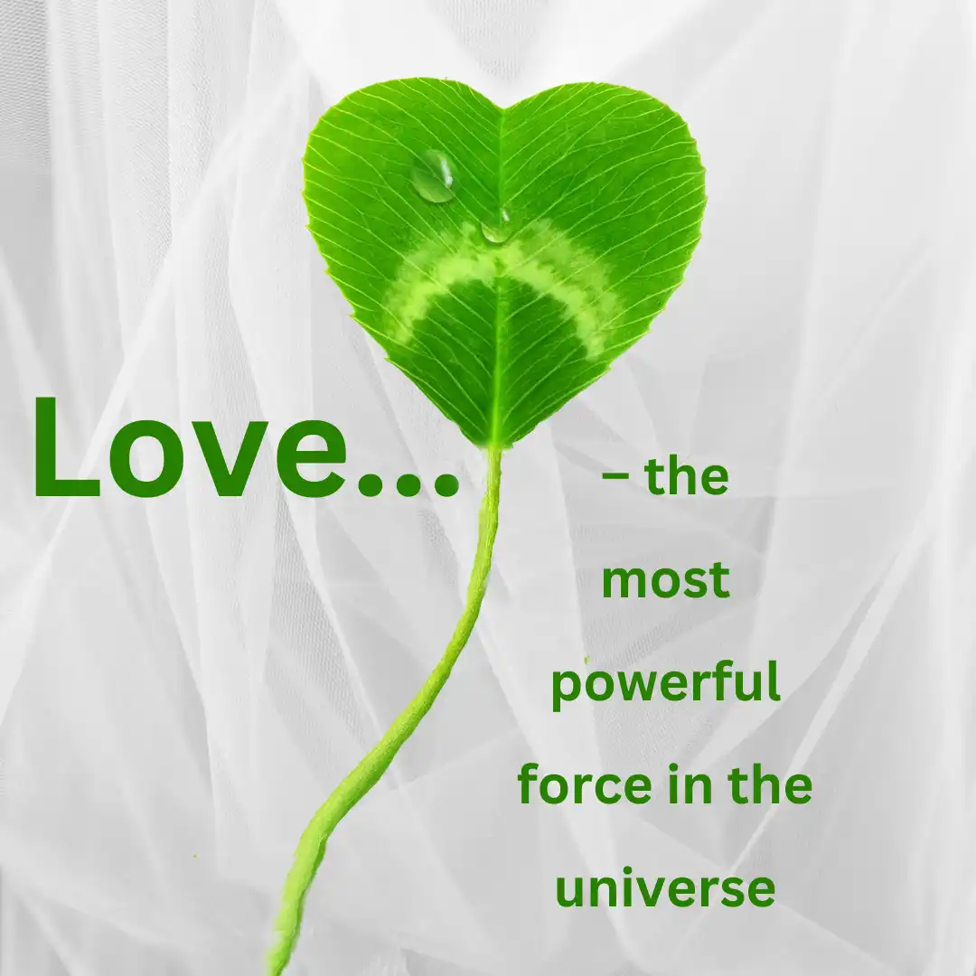 The second leaf symbolizes love – the most powerful force in the universe.